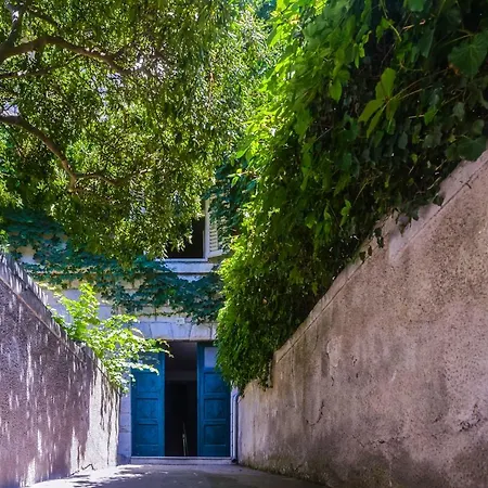 Club Boutique Guest house 4*